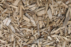 biomass boilers Worms Ash