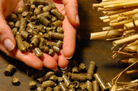 free Worms Ash biomass boiler quotes