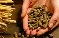Worms Ash pellet boiler
